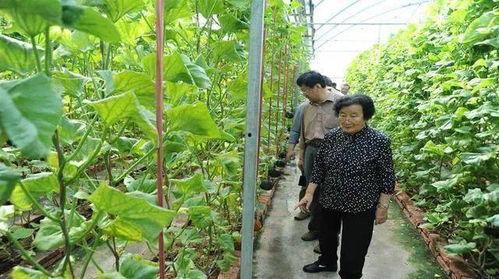 滕州吃瓜最新事件爆料是真的吗,真相揭秘还是网络谣言？  第3张